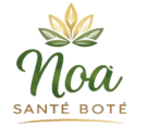 noa santé botè logo design
